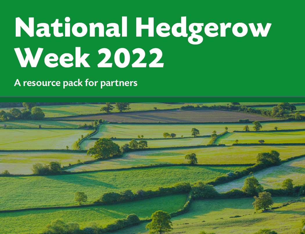 National Hedgerow Week 2022 10-17 October 2022
